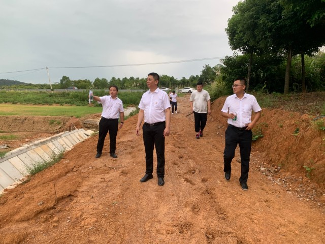 蜂蜜浏览器_6支部书记带队实地查看高标准农田项目现场0.jpg